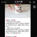 테즈플라워