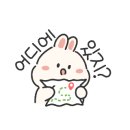 아라비카스튜디오로스터즈 이미지