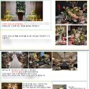 가일레블루멘 | [38] 파크하얏트 부산 웨딩 플라워 미팅 후기 : 예식 한 달 전