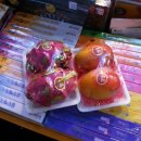 예그리나 호스텔 이미지