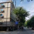 서울당산초등학교 네이버블로그
