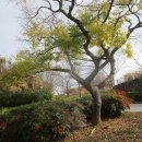 국가정원(서문) 이미지