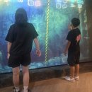 서룡공원(서룡B) | Our Own summer