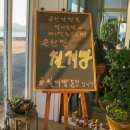 놀펜션 | [순천] &#39;놀카페&#39; 순천만과 칠게빵을 음료와 함께 즐기기