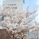 운촌삼거리 이미지