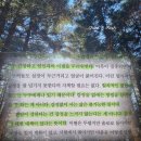마음 지구력 책 | 윤홍균 책 후기 | 삶 속 작은 거인들이 위기를 건너는 법 추천 리뷰 핵심 요약