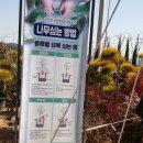 선상서로-6 이미지