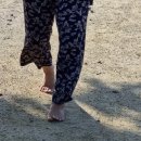 강가치유센터
