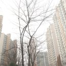 문래근린공원(2) 이미지