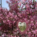 봉곡동107 이미지