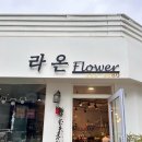 라온플라워 - 종로구 인사동5길 21 | 거제 고현 라온플라워 기념일 용돈 꽃다발 당일 즉시 가능한 꽃집 화분식물 파는 곳