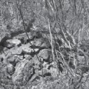 태조목장 이미지