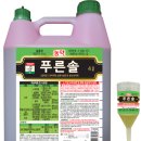 푸른솔 이미지