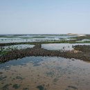 동광로1길 24 이미지