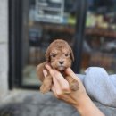 이아이앤테리어 이미지