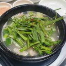 거목돼지국밥