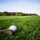 잔디로 스크린골프 이미지