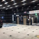 소나무 휘트니스 이미지