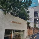 어반브런치 이미지