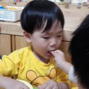 수어린이집 이미지