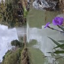 서촌농장 이미지