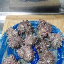 충렬농장 이미지