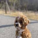 똑독트레이닝스쿨 이미지