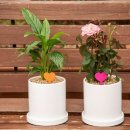 용산-200 이미지