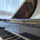 토니카음악학원 이미지