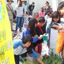 농성초등학교 이미지