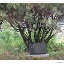 성주초등학교 이미지