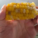 웅천읍 노천리534-1 | [여름 바다] 주말 번개로 다녀온 충남 보령 바다 (ft. 편안한 1박 2일 휴가)