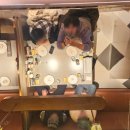 착한양꼬치구이 | 대련 양꼬치 맛집 산리차오 현지인 가득한 찐맛집이야