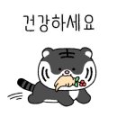 스피드광고 이미지