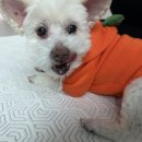 제이스노래연습장 이미지