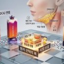 비쥬 - 동해시 | 비쥬