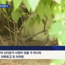 열대어 '구피천', '유기 토끼 공원'을 아시나요 이미지