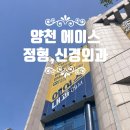 에이스약국 | [서울 신정동] 양천에이스 정형외과 신경외과의원 - 허리삐끗, 디스크 진찰, 대리처방 구비서류