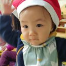찌아 이미지