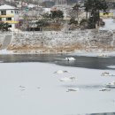 강변식당 이미지