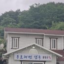 동호해변 섭국