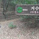 인천대공원(거수골) 이미지