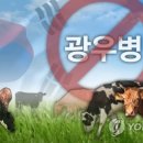 기립농장 이미지