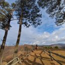 병정목장 이미지