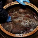 마량 미항 | 나주의 소울푸드《632년 역사의 영산포 홍어》몰려 있는 홍어 전문 도매업체만 40여곳, 푸짐한 홍어 한...