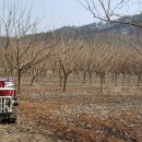 태산농장 2 이미지