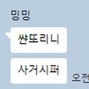 미로홀덤