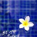 여기,봄