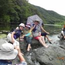 숲의하루 이미지