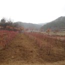 이전농장 이미지